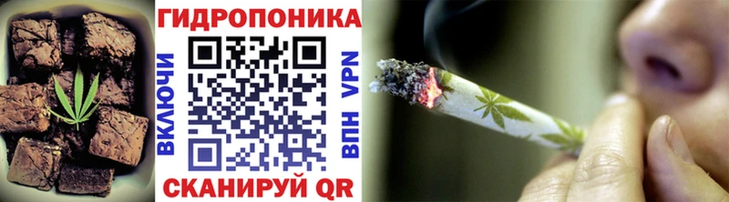 Canna-Cookies марихуана  Кыштым 