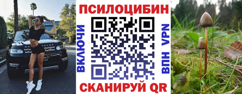 Псилоцибиновые грибы мицелий  Кыштым 